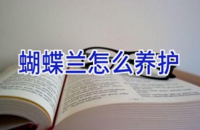 蝴蝶兰怎么养护