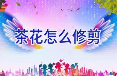 茶花怎么修剪