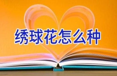 绣球花怎么种