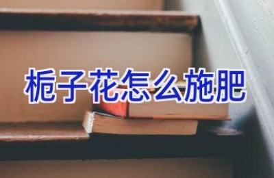 栀子花怎么施肥
