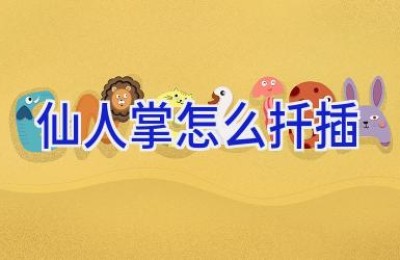 仙人掌怎么扦插