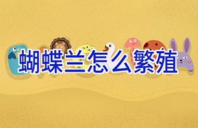 蝴蝶兰怎么繁殖