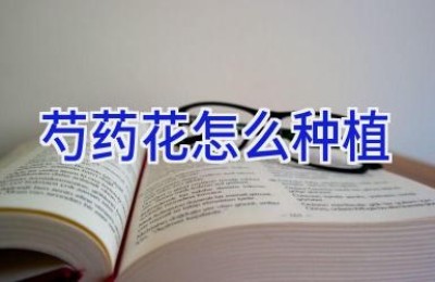 芍药花怎么种植