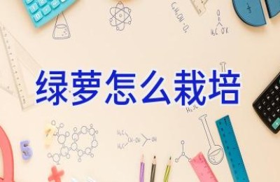 绿萝怎么栽培