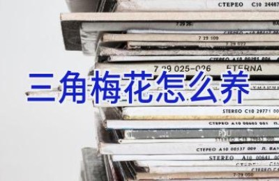 三角梅花怎么养