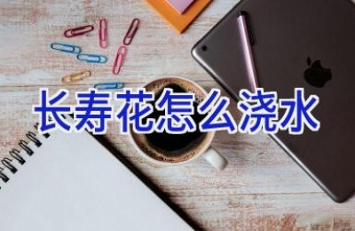 长寿花怎么浇水