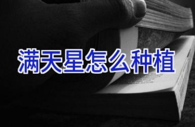 满天星怎么种植