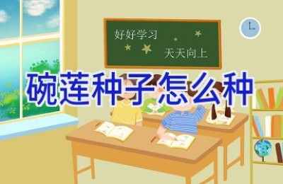 碗莲种子怎么种