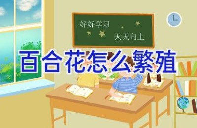 百合花怎么繁殖