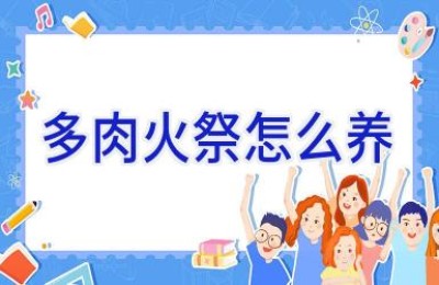 多肉火祭怎么养