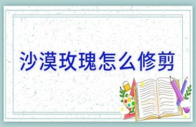 沙漠玫瑰怎么修剪