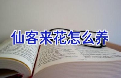 仙客来花怎么养