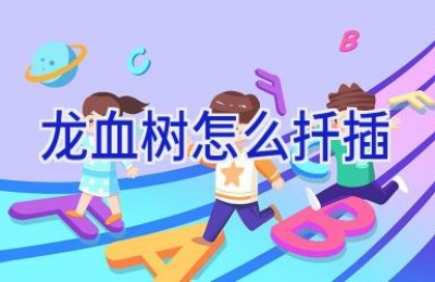 龙血树怎么扦插