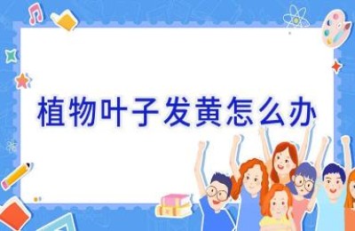 植物叶子发黄怎么办