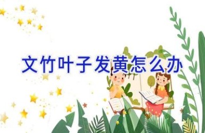 文竹叶子发黄怎么办