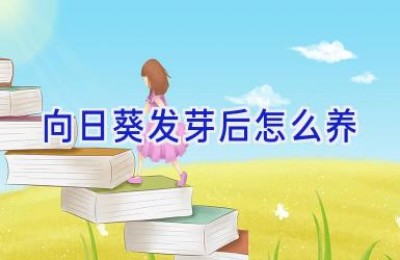 向日葵发芽后怎么养