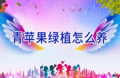 青苹果绿植怎么养