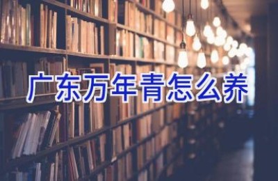 广东万年青怎么养