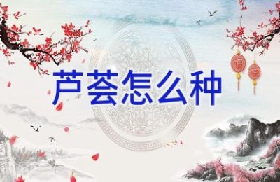 芦荟怎么种