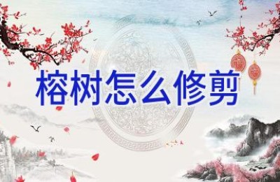 榕树怎么修剪