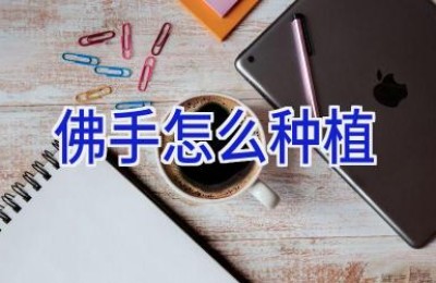 佛手怎么种植
