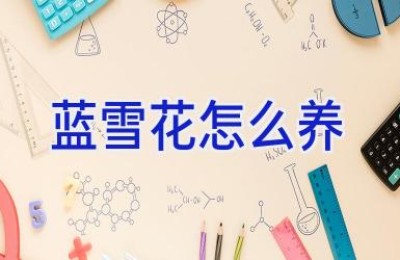 蓝雪花怎么养