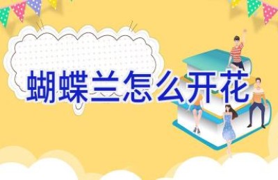 蝴蝶兰怎么开花