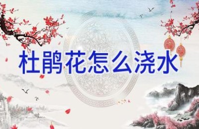 杜鹃花怎么浇水