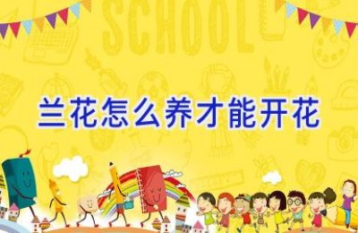 兰花怎么养才能开花
