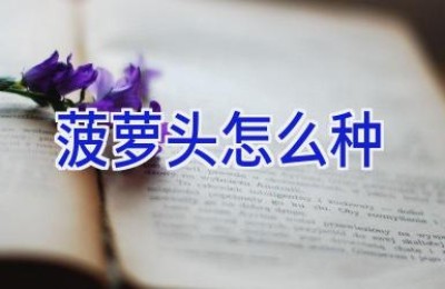 菠萝头怎么种