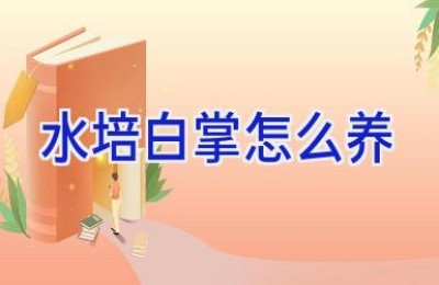 水培白掌怎么养