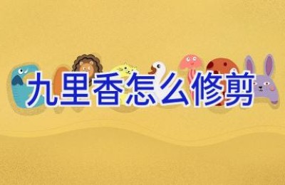 九里香怎么修剪