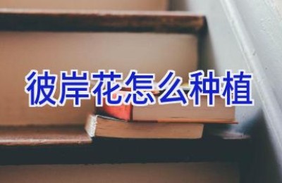 彼岸花怎么种植