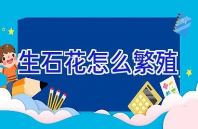 生石花怎么繁殖