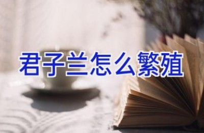 君子兰怎么繁殖