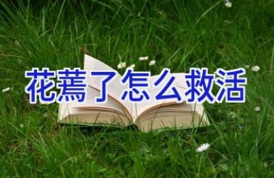 花蔫了怎么救活