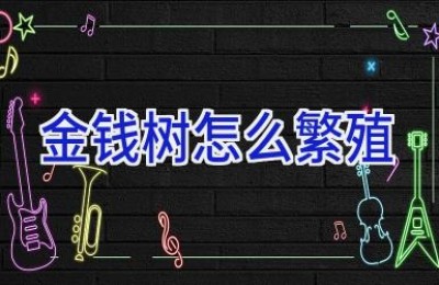 金钱树怎么繁殖