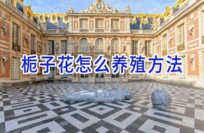 栀子花怎么养殖方法