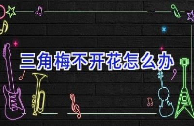 三角梅不开花怎么办