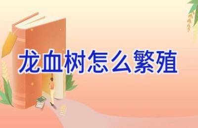 龙血树怎么繁殖