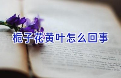栀子花黄叶怎么回事