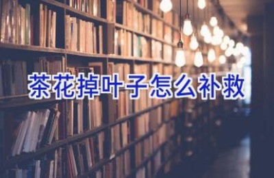 茶花掉叶子怎么补救