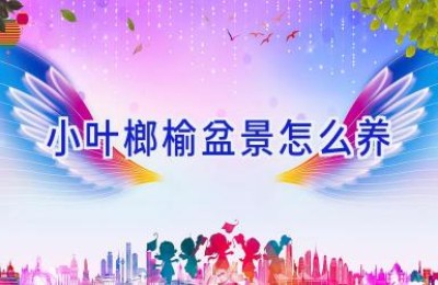 小叶榔榆盆景怎么养