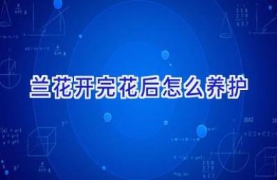 兰花开完花后怎么养护