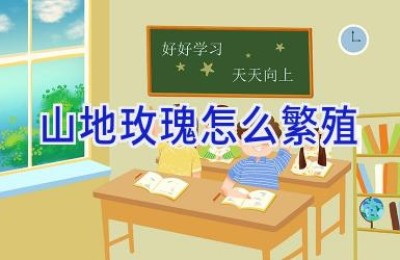 山地玫瑰怎么繁殖