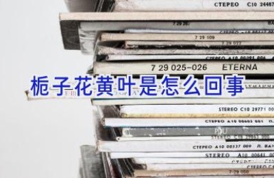 栀子花黄叶是怎么回事