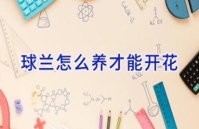 球兰怎么养才能开花