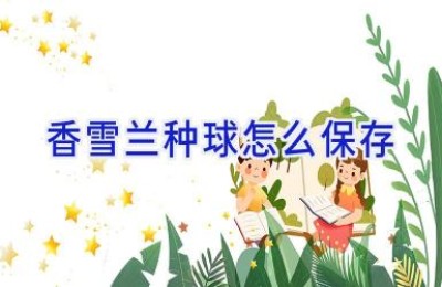 香雪兰种球怎么保存