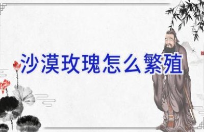 沙漠玫瑰怎么繁殖