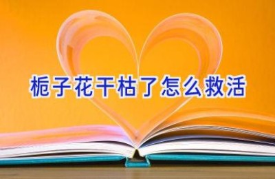 栀子花干枯了怎么救活